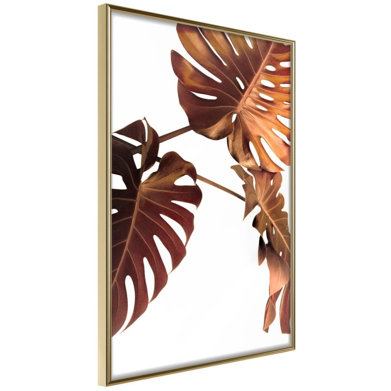 Plakat - Miedziana monstera