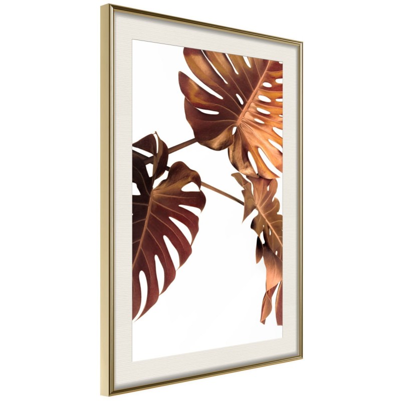 Plakat - Miedziana monstera