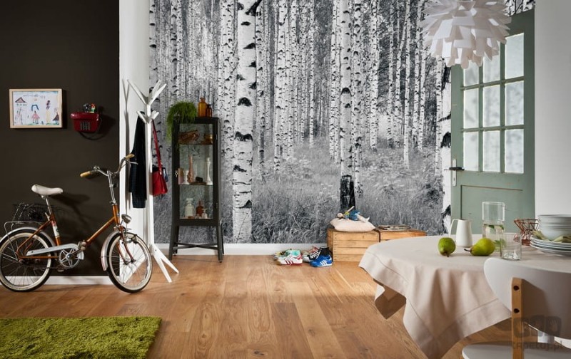Fototapeta Woods XXL4-023