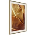 Plakat - Liście bananowca z przesłaniem (sepia)