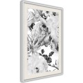 Plakat - Czarno-biała natura
