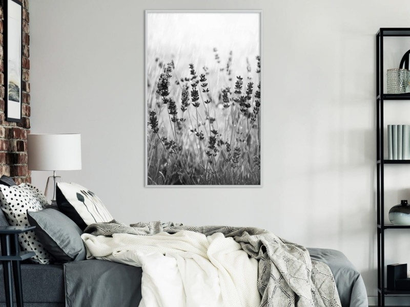 Plakat - Cień łąki