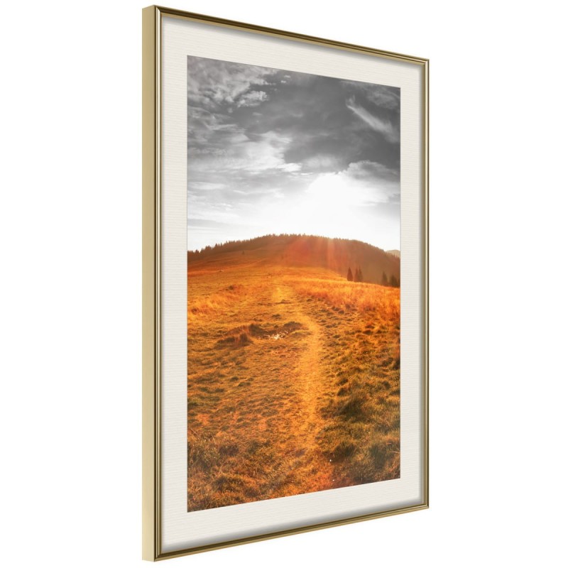 Plakat - Preria