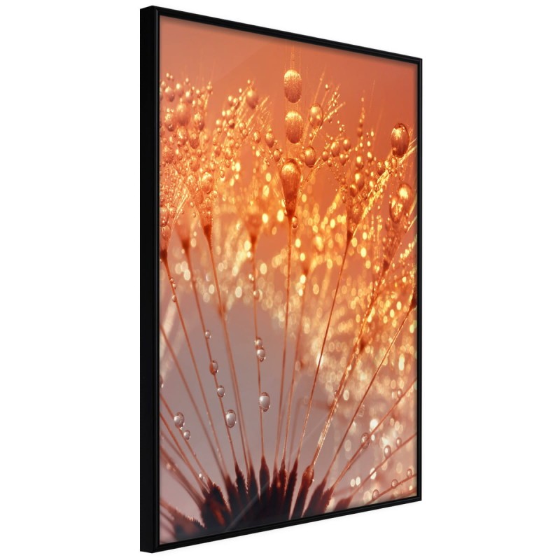 Plakat - Pomarańczowy powiew lata