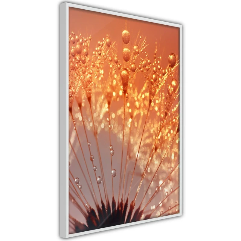 Plakat - Pomarańczowy powiew lata