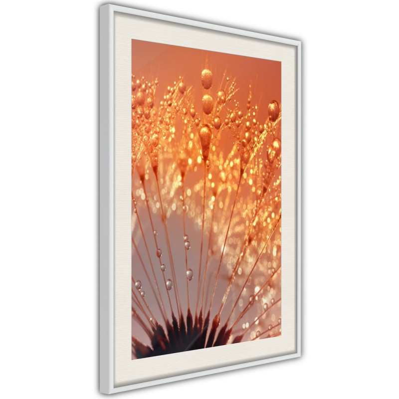 Plakat - Pomarańczowy powiew lata