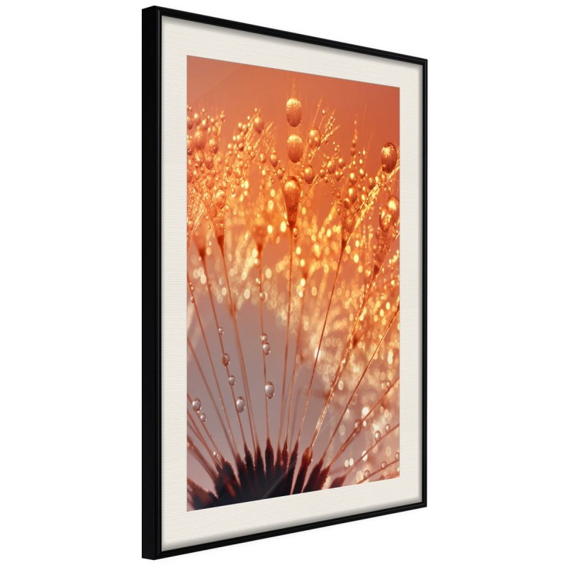 Plakat - Pomarańczowy powiew lata