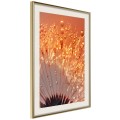 Plakat - Pomarańczowy powiew lata