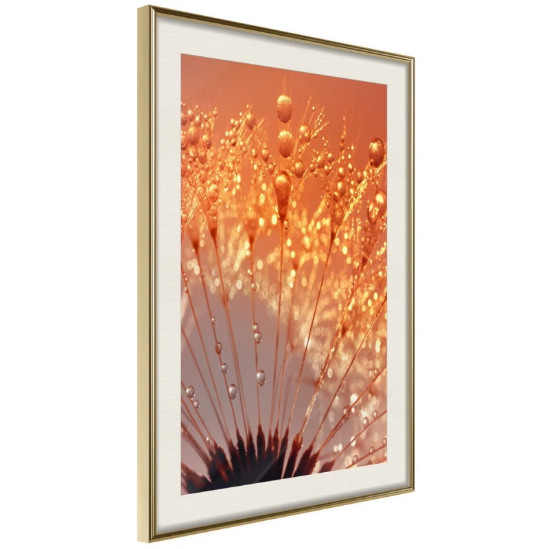 Plakat - Pomarańczowy powiew lata
