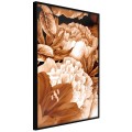 Plakat - Piwonie w sepii