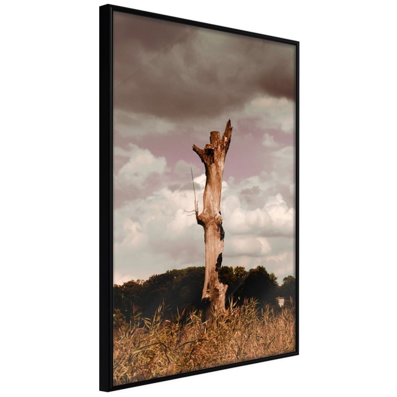 Plakat - Samotność w naturze