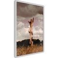 Plakat - Samotność w naturze