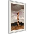 Plakat - Samotność w naturze