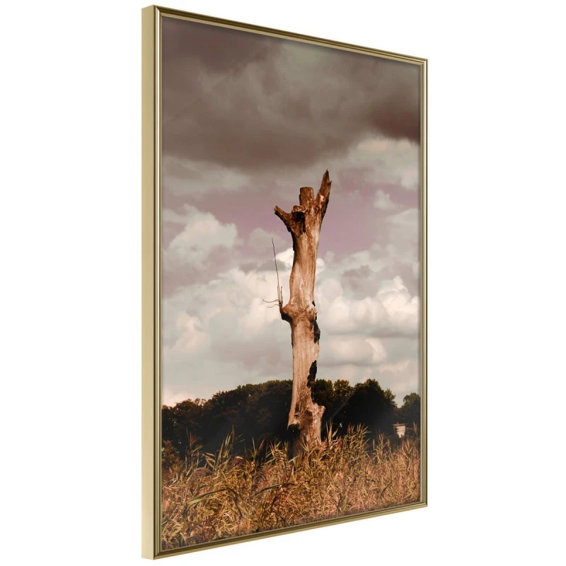 Plakat - Samotność w naturze