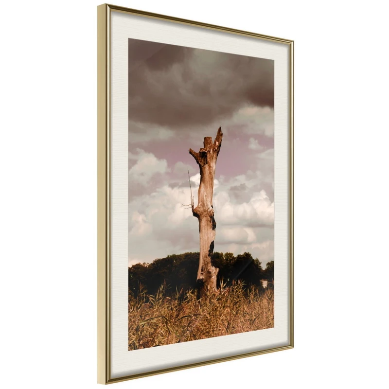 Plakat - Samotność w naturze