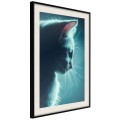 Plakat - Rozkoszny futrzak
