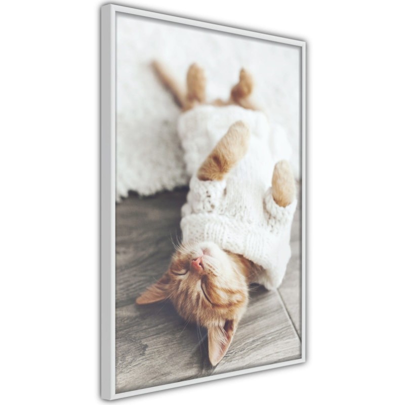 Plakat - Kocie życie