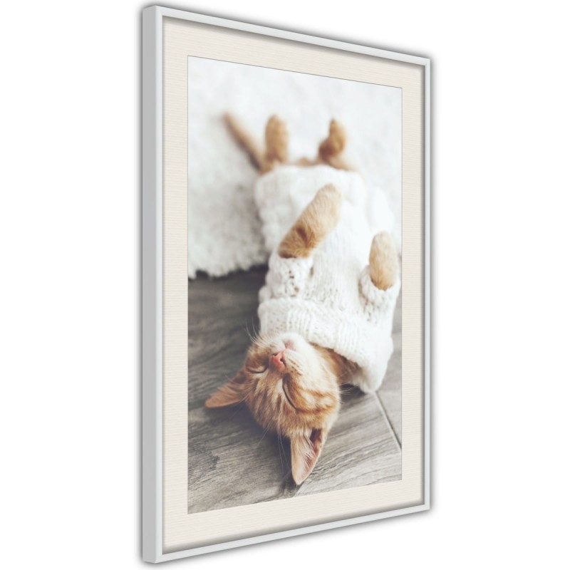 Plakat - Kocie życie