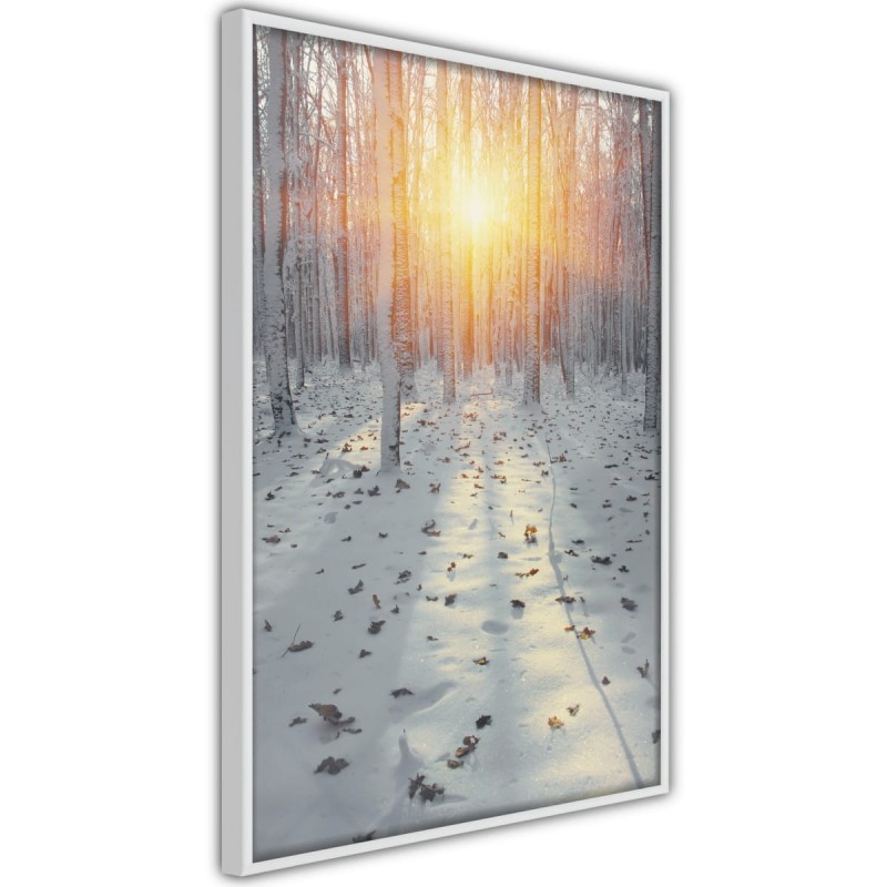 Plakat - Mroźny zachód słońca