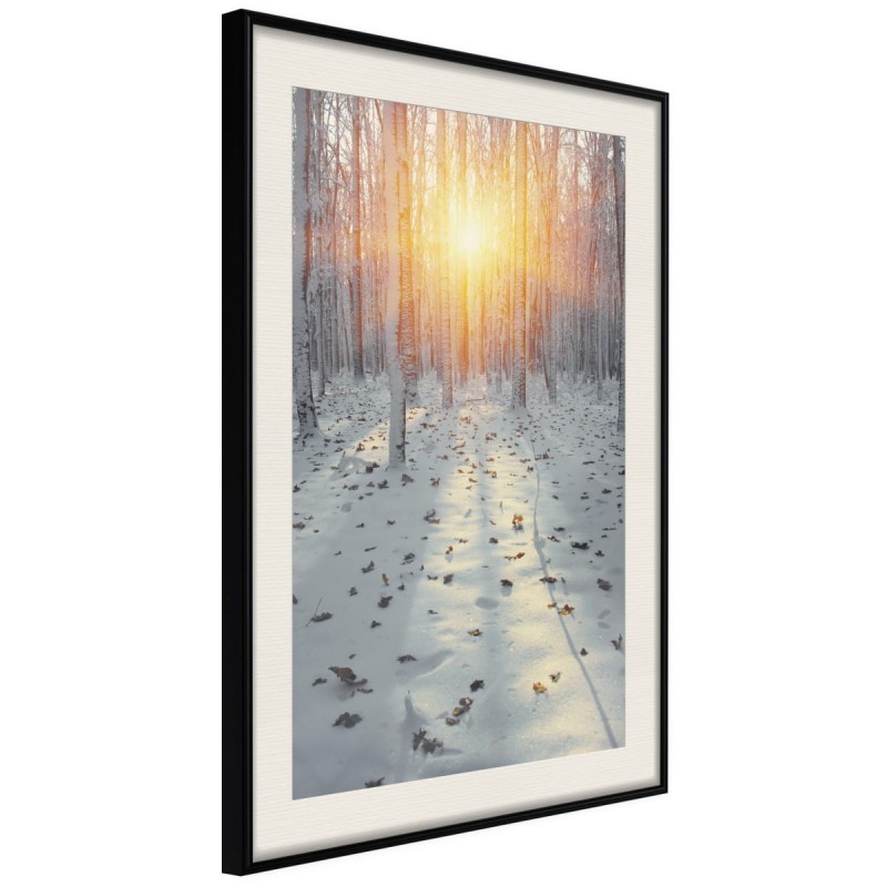 Plakat - Mroźny zachód słońca