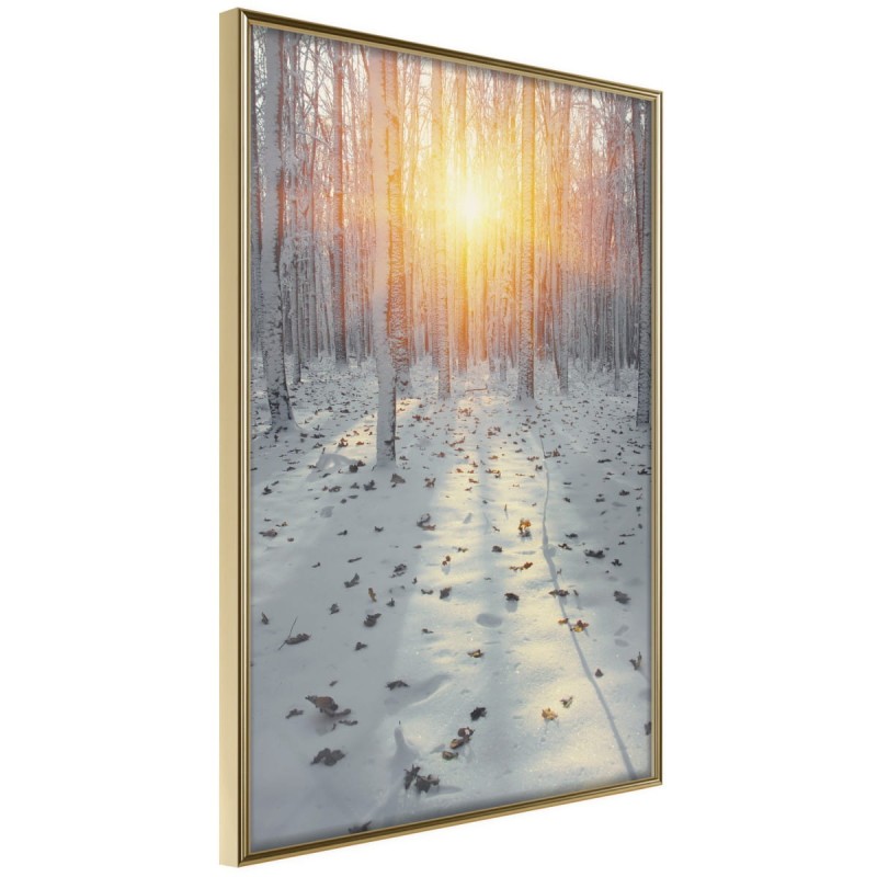 Plakat - Mroźny zachód słońca