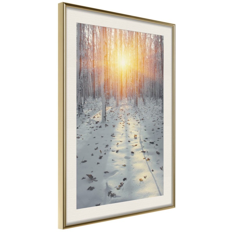 Plakat - Mroźny zachód słońca