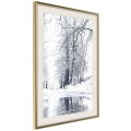 Plakat - Ośnieżony park