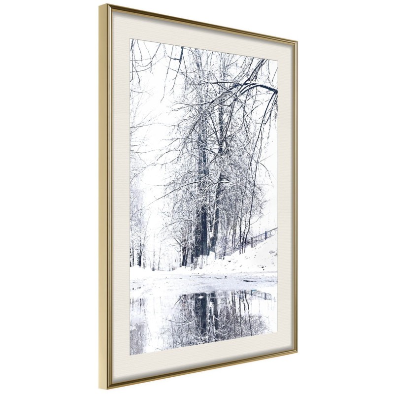 Plakat - Ośnieżony park