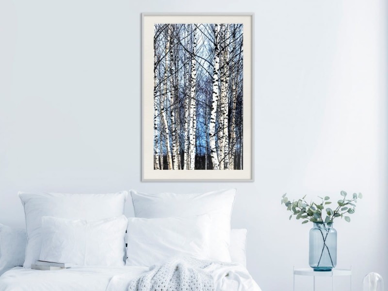 Plakat - Zimowe brzozy