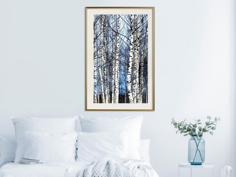 Plakat - Zimowe brzozy
