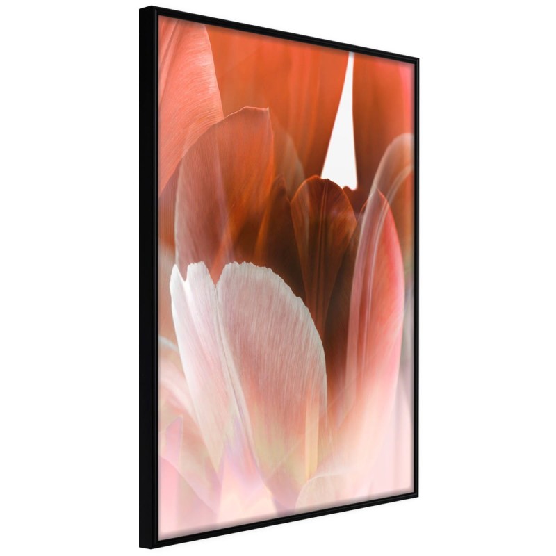 Plakat - Płatki tulipana
