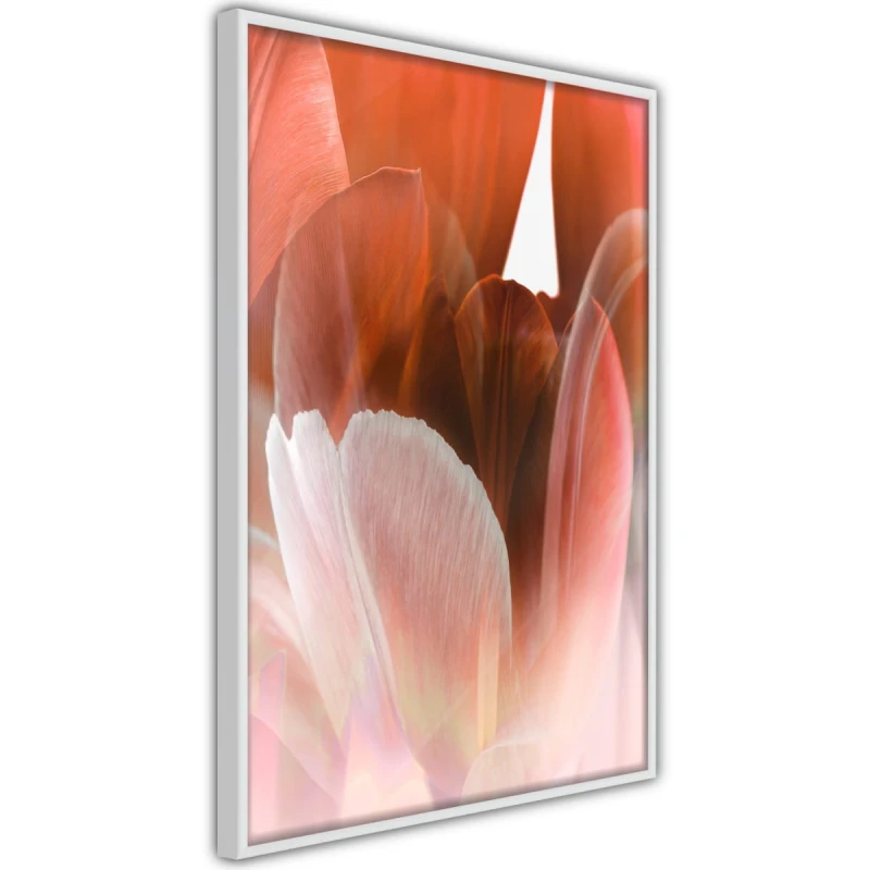 Plakat - Płatki tulipana
