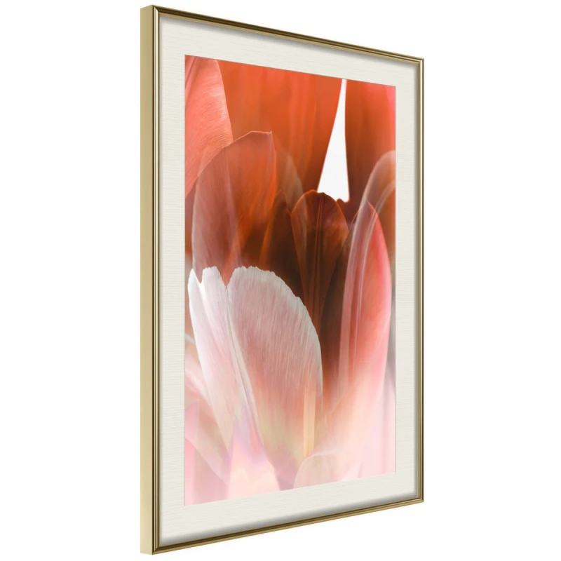 Plakat - Płatki tulipana