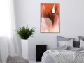 Plakat - Płatki tulipana