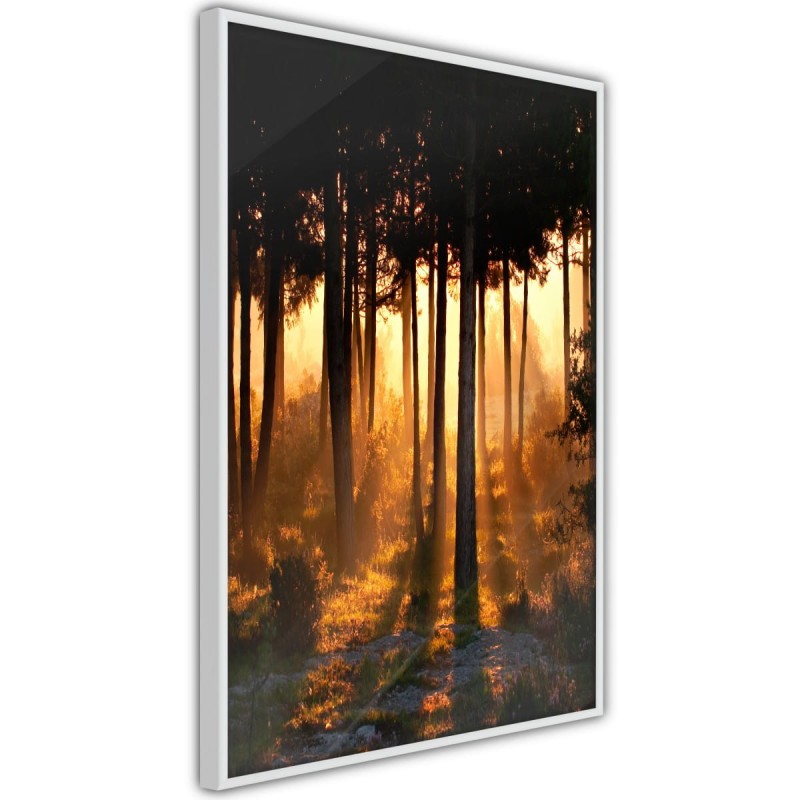 Plakat - Ciemne korony drzew