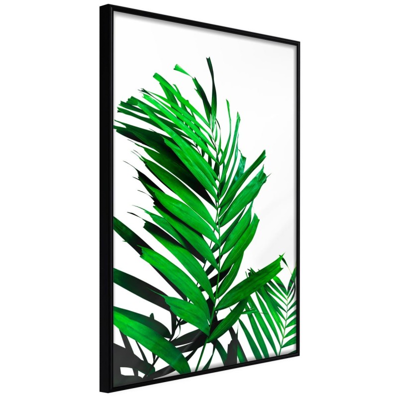 Plakat - Szmaragdowa palma