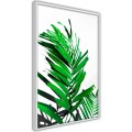 Plakat - Szmaragdowa palma