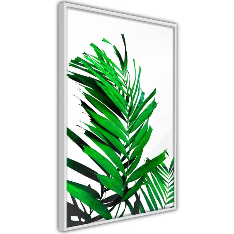Plakat - Szmaragdowa palma