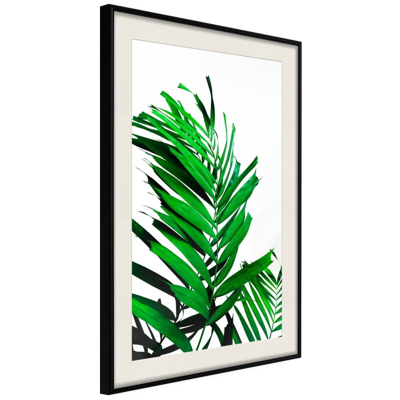 Plakat - Szmaragdowa palma