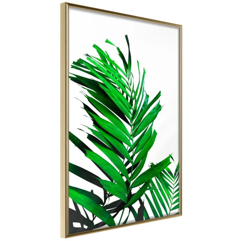Plakat - Szmaragdowa palma