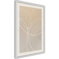 Plakat - Biały tulipan