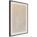 Plakat - Biały tulipan