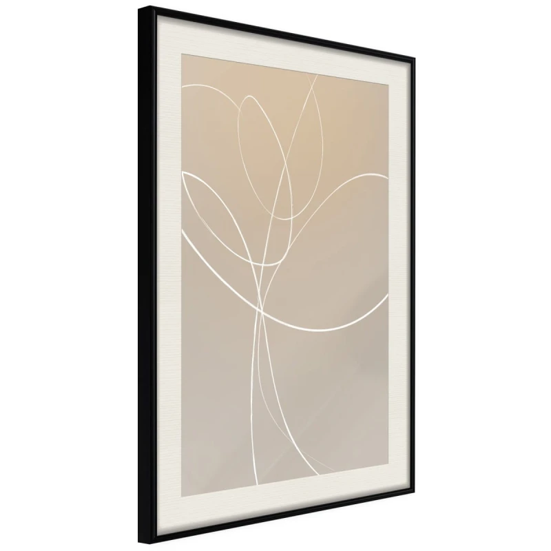Plakat - Biały tulipan