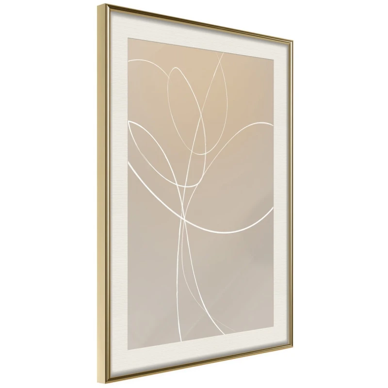 Plakat - Biały tulipan