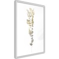 Plakat - Fragment natury