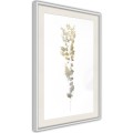 Plakat - Fragment natury