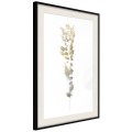 Plakat - Fragment natury