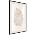 Plakat - Żyłki liścia