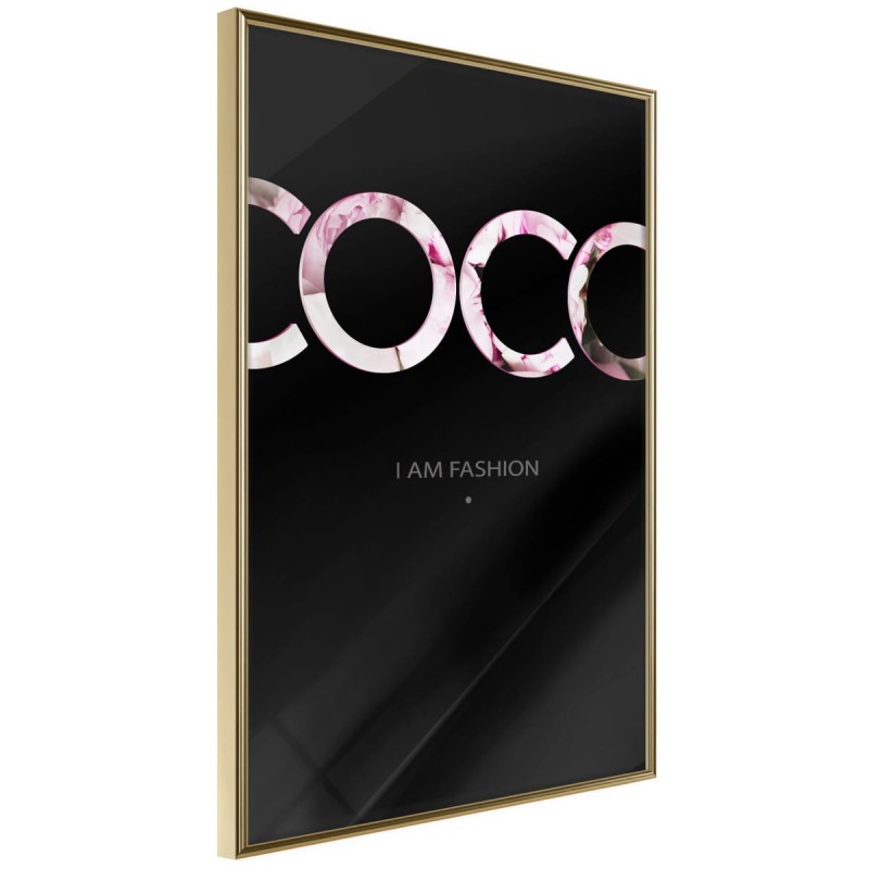 Plakat - Coco