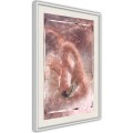 Plakat - Gwiezdny ptak